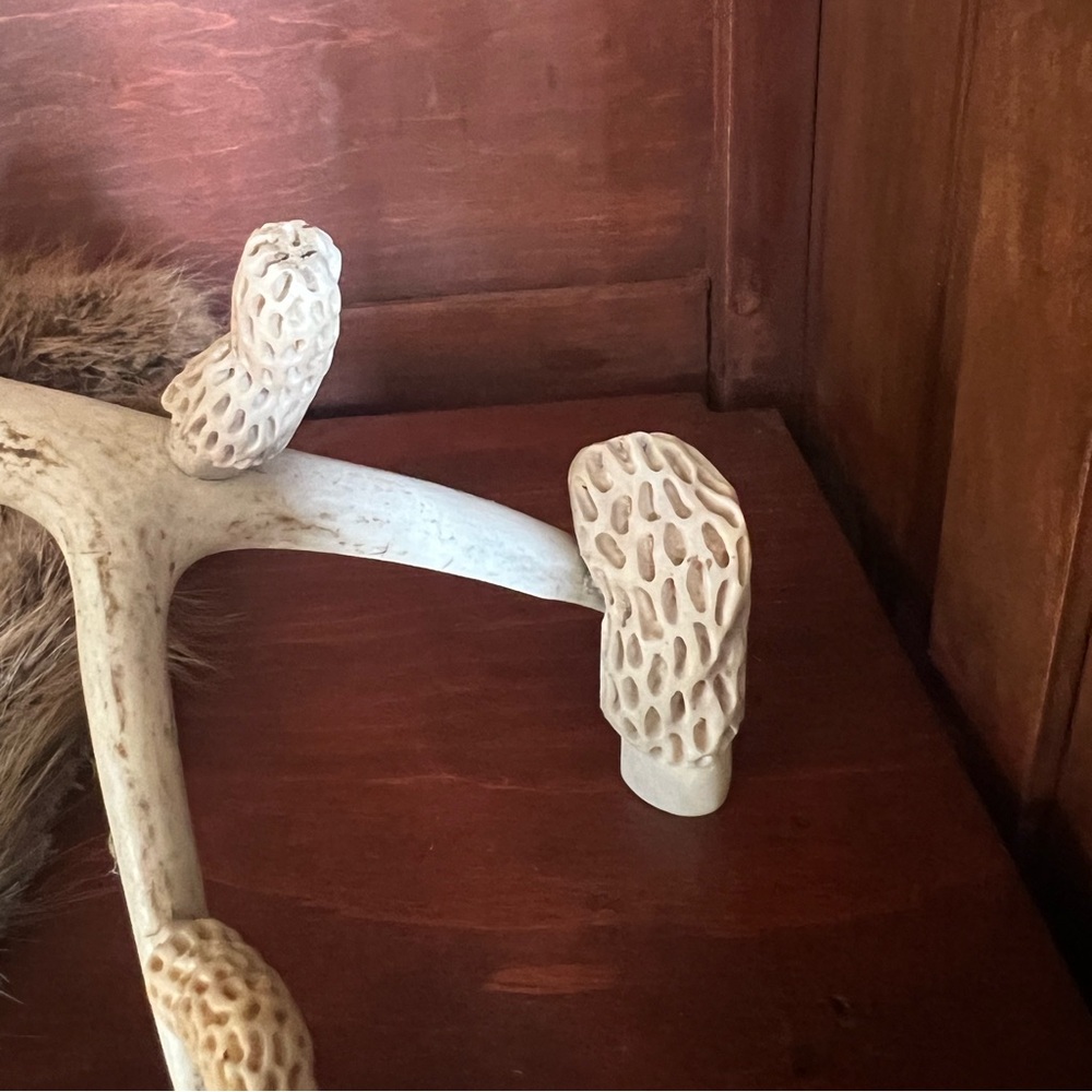 Folk Art Whitetail Shed Antler with hand carved morel mushrooms. - Picture 6 of 11